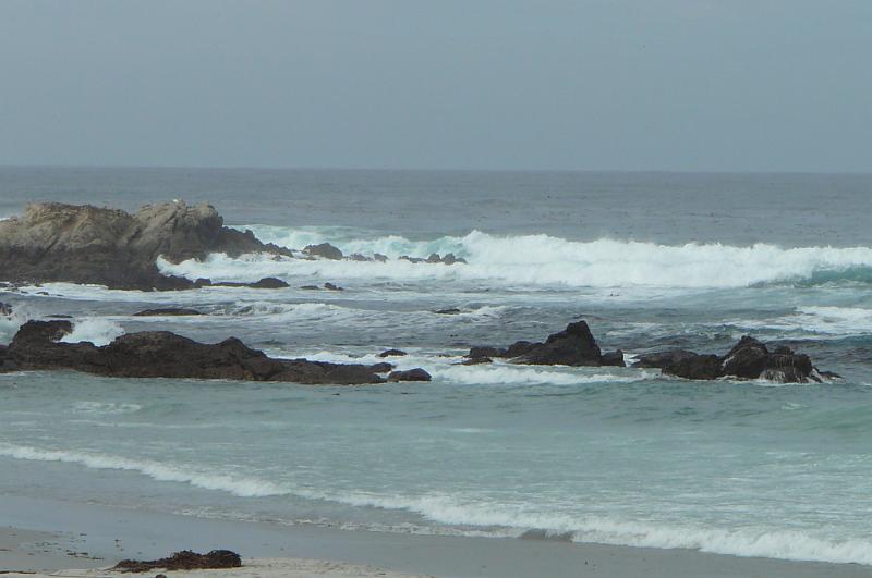 Carmel 10-30-08 245.jpg